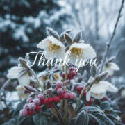 ヒメ日記 2026/01/25 00:17 投稿 本庄 あなたに逢いたくて