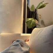 ヒメ日記 2025/12/30 10:19 投稿 ゆり子(ゆりこ) 麗しい人妻 新宿本店