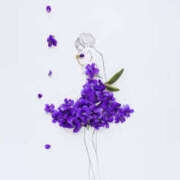 ヒメ日記 2025/12/28 19:52 投稿 すみれ マドンナ浜松町