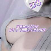 ヒメ日記 2026/04/08 21:02 投稿 はる 佐賀人妻デリヘル 「デリ夫人」