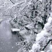 ヒメ日記 2026/01/22 15:32 投稿 ふぶき sakura