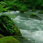 ヒメ日記 2026/01/26 16:02 投稿 ふぶき sakura