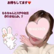 ヒメ日記 2026/01/22 07:40 投稿 らら CECIL