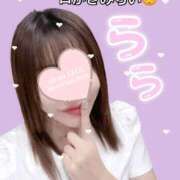 ヒメ日記 2026/02/10 06:22 投稿 らら CECIL