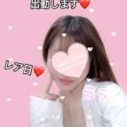 ヒメ日記 2026/02/12 03:15 投稿 らら CECIL