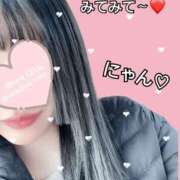 ヒメ日記 2026/02/13 15:39 投稿 らら CECIL