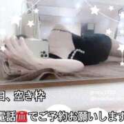 ヒメ日記 2026/02/20 10:29 投稿 らら CECIL