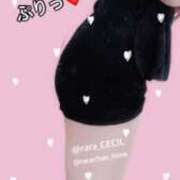 ヒメ日記 2026/02/20 22:22 投稿 らら CECIL