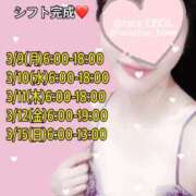 ヒメ日記 2026/03/03 17:16 投稿 らら CECIL