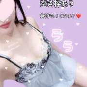 ヒメ日記 2026/03/08 15:33 投稿 らら CECIL