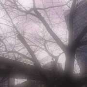 ヒメ日記 2026/03/10 09:01 投稿 さゆき 東京人妻セレブリティ（ユメオト）