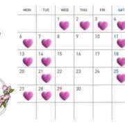 ヒメ日記 2026/03/31 17:09 投稿 さゆき 東京人妻セレブリティ（ユメオト）