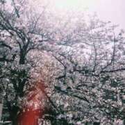 ヒメ日記 2026/04/06 14:01 投稿 さゆき 東京人妻セレブリティ（ユメオト）