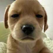 ヒメ日記 2026/01/21 16:52 投稿 えりか カリビアン