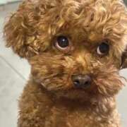 ヒメ日記 2026/01/22 14:58 投稿 えりか カリビアン