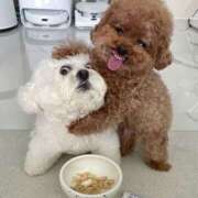 ヒメ日記 2026/01/28 18:18 投稿 えりか カリビアン