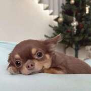 ヒメ日記 2026/01/30 13:23 投稿 えりか カリビアン