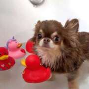 ヒメ日記 2026/02/14 19:09 投稿 えりか カリビアン