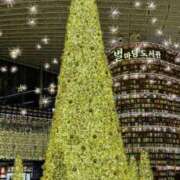 ヒメ日記 2025/12/30 19:17 投稿 ここあ しろうとCollection