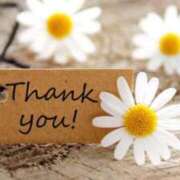 ヒメ日記 2025/12/31 02:39 投稿 りんか 人妻本舗愛のしずく名古屋店