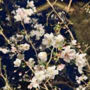 ヒメ日記 2026/03/28 22:16 投稿 ゆうな 木更津人妻花壇