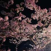 ヒメ日記 2026/03/30 23:07 投稿 ゆうな 木更津人妻花壇