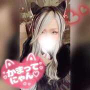 ヒメ日記 2026/10/08 21:24 投稿 ゆうな 木更津人妻花壇