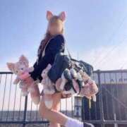 ヒメ日記 2026/01/29 18:01 投稿 瑠璃川める Finemotion