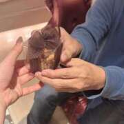 ヒメ日記 2026/01/16 23:08 投稿 ひより ぐっどがーる浜松店