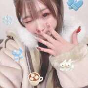 ヒメ日記 2026/01/03 08:43 投稿 ひなた ドマーニ