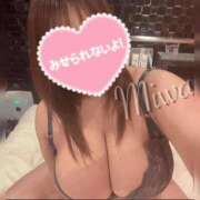 ヒメ日記 2026/01/31 08:05 投稿 みわ ぷるるんギャング