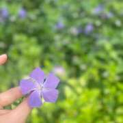 ヒメ日記 2026/03/23 11:21 投稿 けいと 夜這専門発情する奥様たち 谷九店