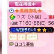 ヒメ日記 2026/01/24 20:13 投稿 ユズ【体験】【宮崎っ子】 Alice