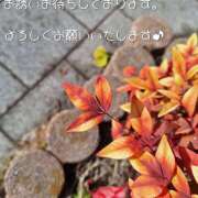 ヒメ日記 2026/02/03 10:12 投稿 若村 紬 五十路マダム　広島店