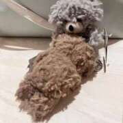 ヒメ日記 2026/03/06 15:15 投稿 まふゆ 白いぽっちゃりさん仙台店