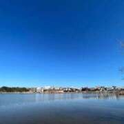 ヒメ日記 2026/01/16 10:54 投稿 きき(NH) 水戸人妻花壇