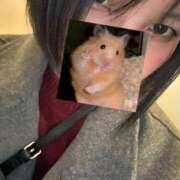 ヒメ日記 2026/01/24 03:26 投稿 まこと マリアージュ大宮