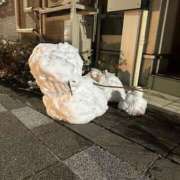 ヒメ日記 2026/02/12 11:26 投稿 もな 出会い系人妻ネットワーク 上野〜大塚編