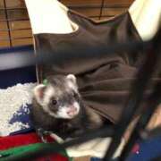 ヒメ日記 2026/02/25 13:58 投稿 もな 出会い系人妻ネットワーク 上野〜大塚編