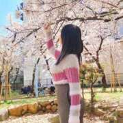 ヒメ日記 2026/03/28 10:37 投稿 速水りか ゴシップガール～淑女不倫～