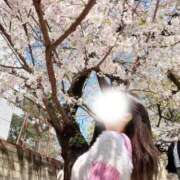 ヒメ日記 2026/04/04 11:27 投稿 速水りか ゴシップガール～淑女不倫～