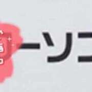 ヒメ日記 2026/02/14 19:03 投稿 中野ことね ゴシップガール～淑女不倫～