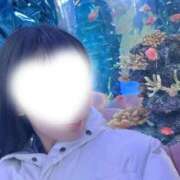 ヒメ日記 2026/01/21 13:57 投稿 江戸川みな ゴシップガール～淑女不倫～