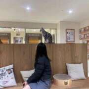 ヒメ日記 2026/01/28 16:19 投稿 江戸川みな ゴシップガール～淑女不倫～