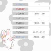 ヒメ日記 2026/01/26 12:07 投稿 南なな ゴシップガール～淑女不倫～