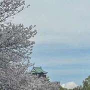 ヒメ日記 2026/04/09 16:27 投稿 南なな ゴシップガール～淑女不倫～