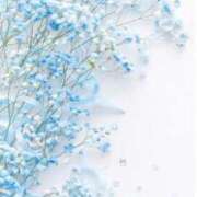 ヒメ日記 2026/01/21 08:57 投稿 れいか 横浜人妻ヒットパレード（シンデレラグループ）