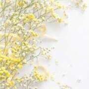 ヒメ日記 2026/01/27 17:16 投稿 れいか 横浜人妻ヒットパレード（シンデレラグループ）