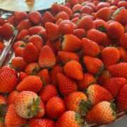 ヒメ日記 2026/01/31 21:41 投稿 れいか 横浜人妻ヒットパレード（シンデレラグループ）