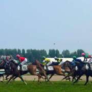結城　星名 勝負の先 タッチVIP